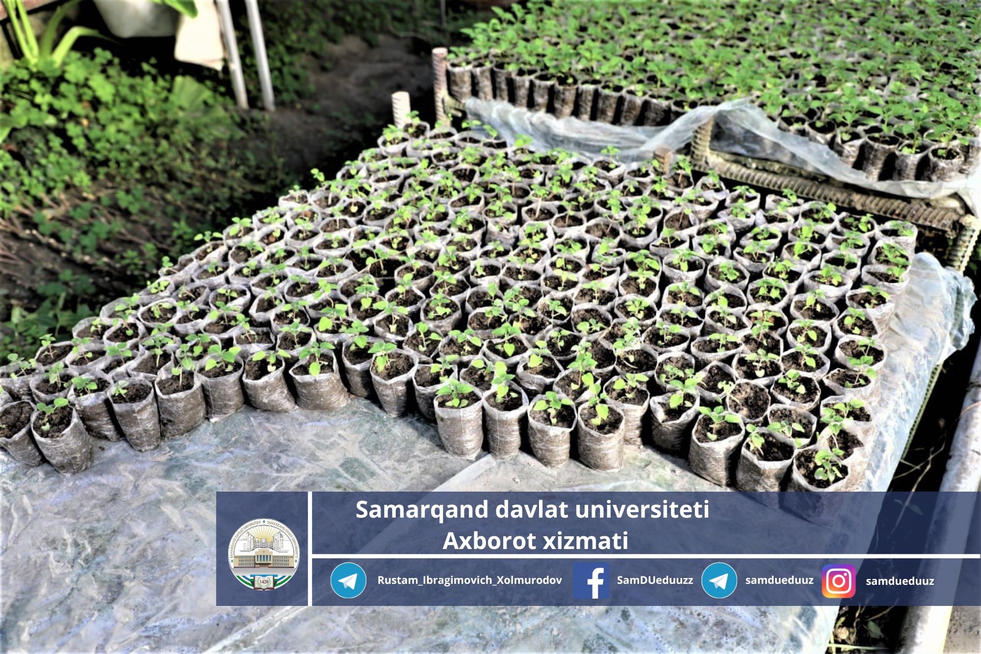 Фото: Самарқанд давлат университети матбуот хизмати