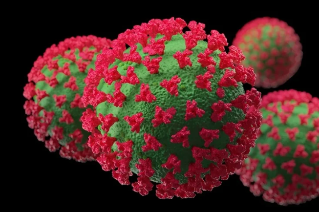 Uzbekistan has not yet detected any cases of BA.2.86 mutation of coronavirus