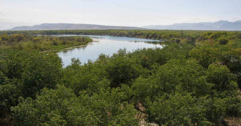 Rogun hydropower plant threatens UNESCO recognized Tigrovaya Balka reserve 