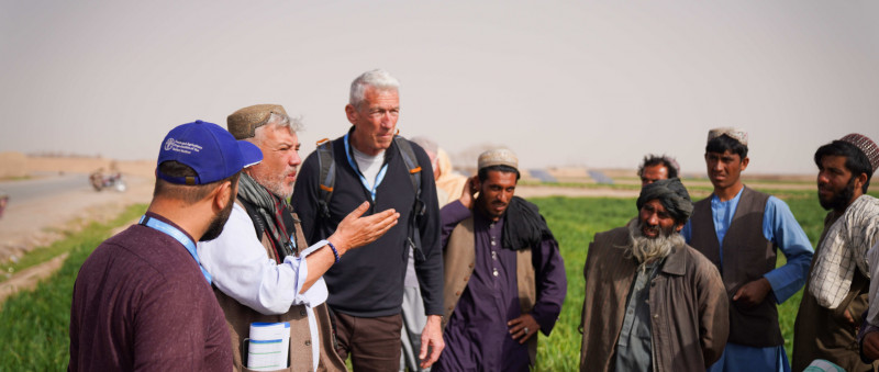 FAO reports improving food security in Afghanistan amidst ongoing instability 