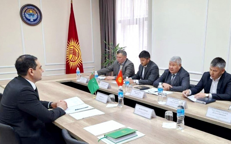 Turkmenistan explores new energy projects with Kyrgyzstan 